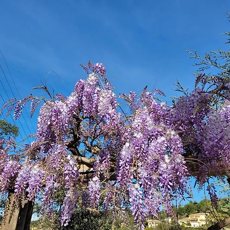 Appartements Dans Villa En Rez De Jardin Hyères المظهر الخارجي الصورة
